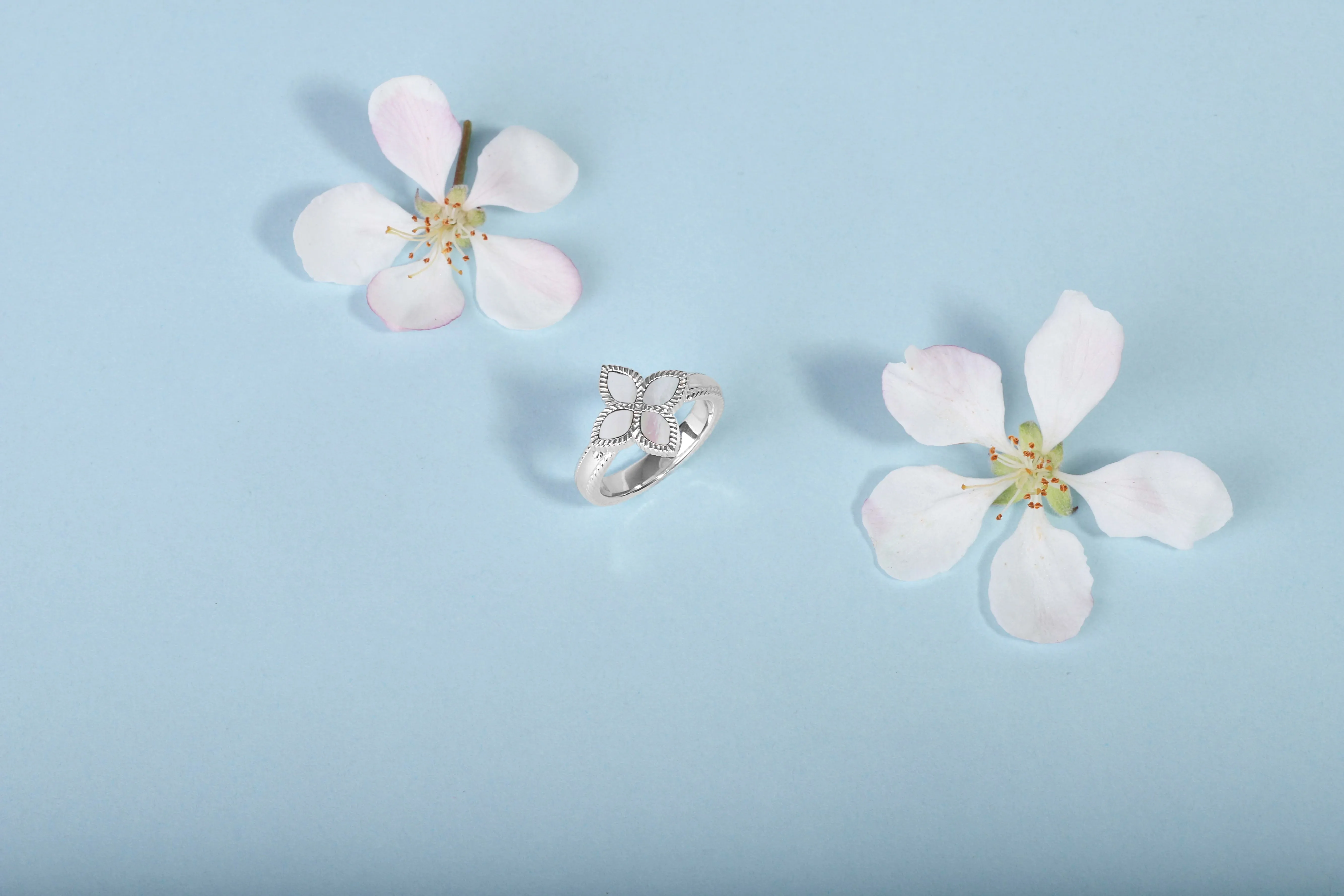 18ct Yellow Gold White Mother of Pearl Eden Marquise Flower Ring