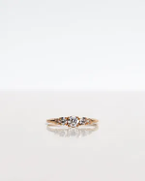 Elise 18K Gold, Whitegold or Rosegold Ring w. Diamonds