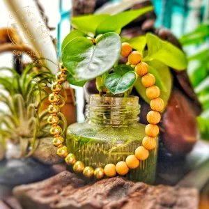 Gold Filled Cypress Bracelets