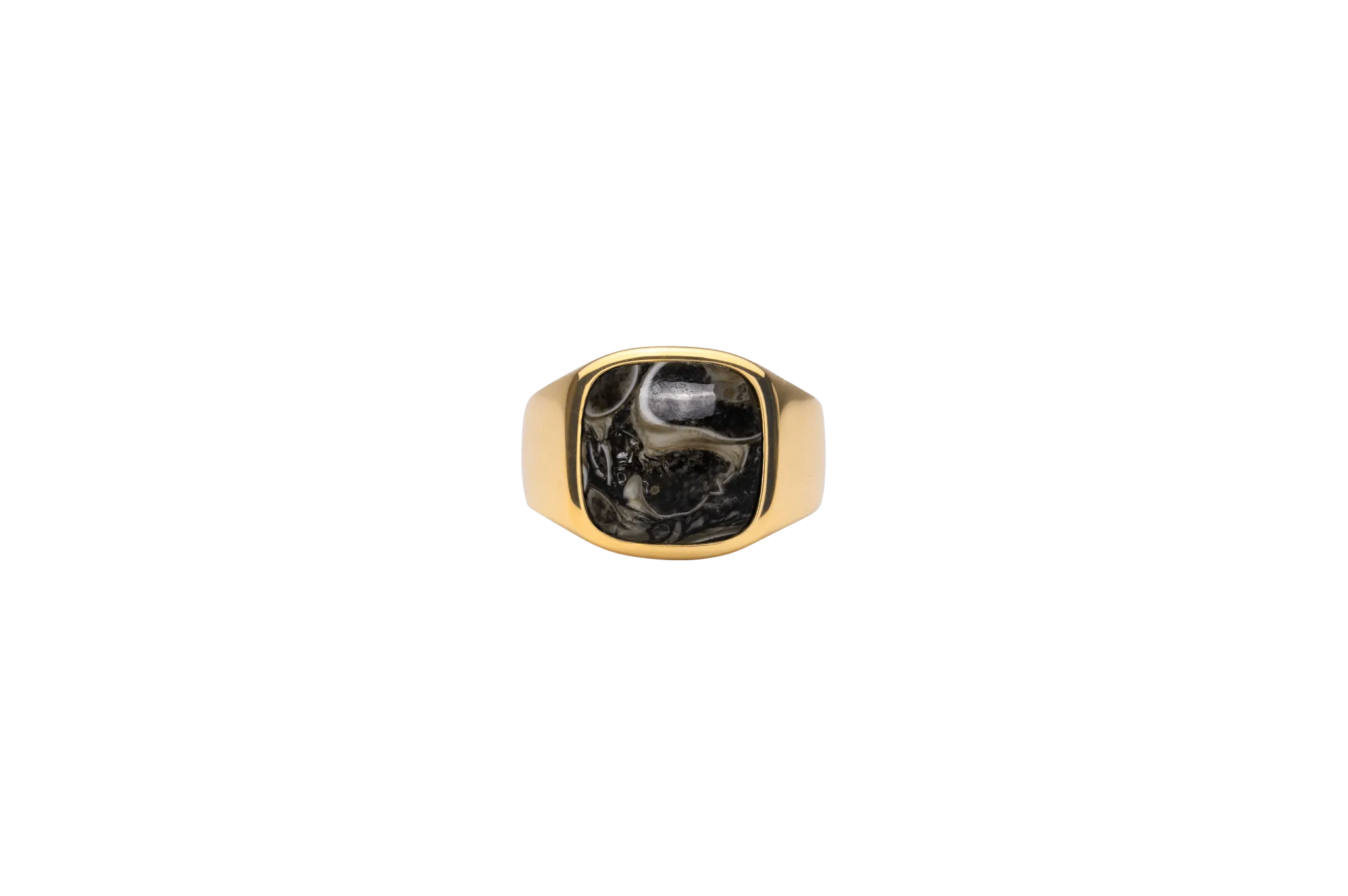 IX Cushion Turtle Agate Gold Plated Signet Ring
