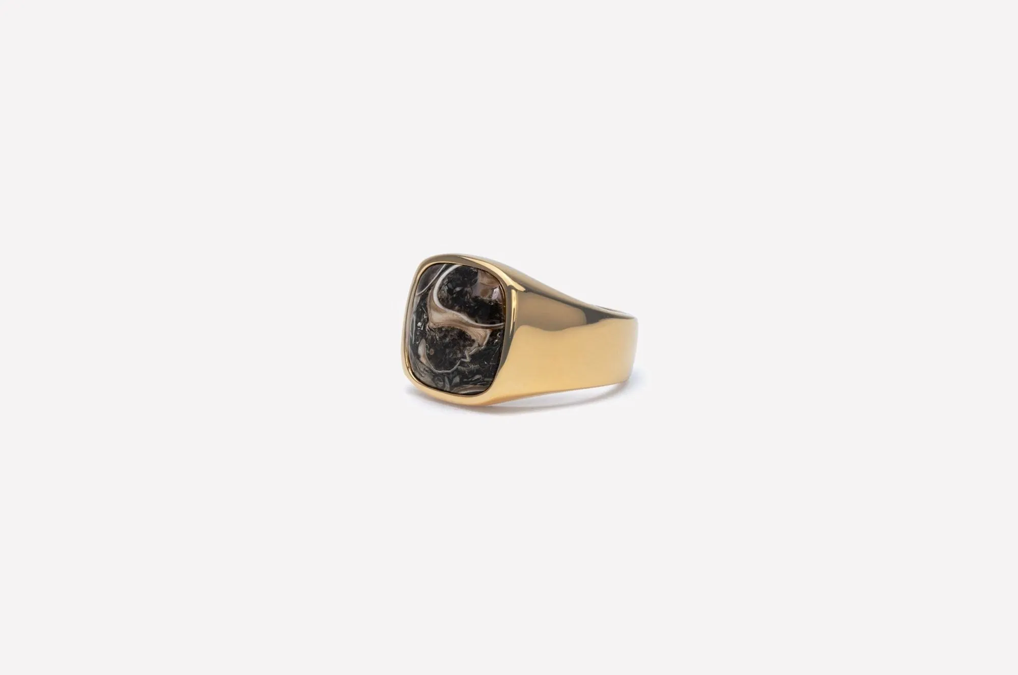 IX Cushion Turtle Agate Gold Plated Signet Ring