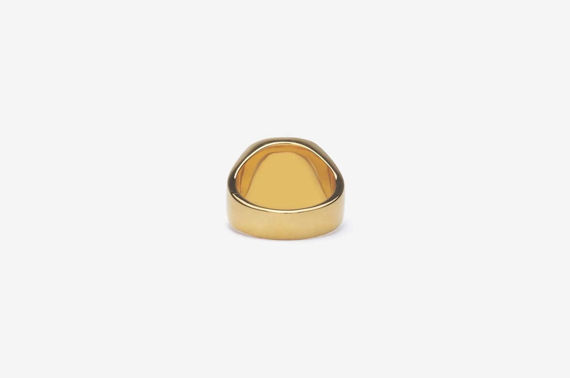 IX Cushion Turtle Agate Gold Plated Signet Ring