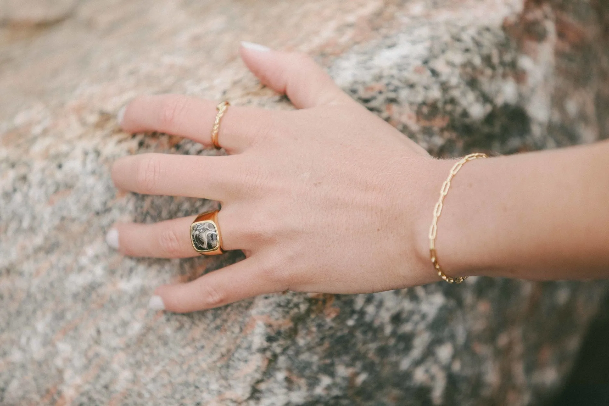 IX Cushion Turtle Agate Gold Plated Signet Ring
