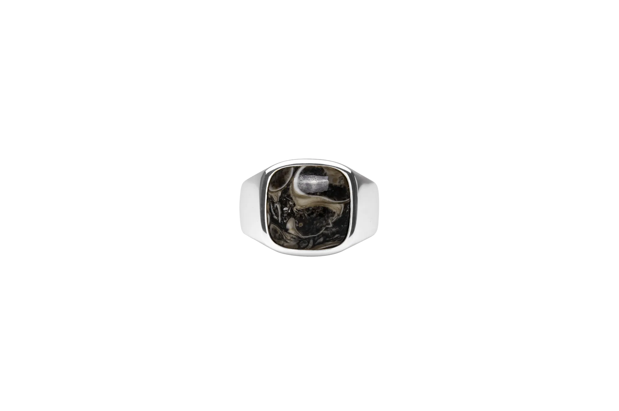 IX Cushion Turtle Agate Silver Signet Ring