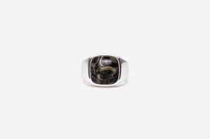 IX Cushion Turtle Agate Silver Signet Ring