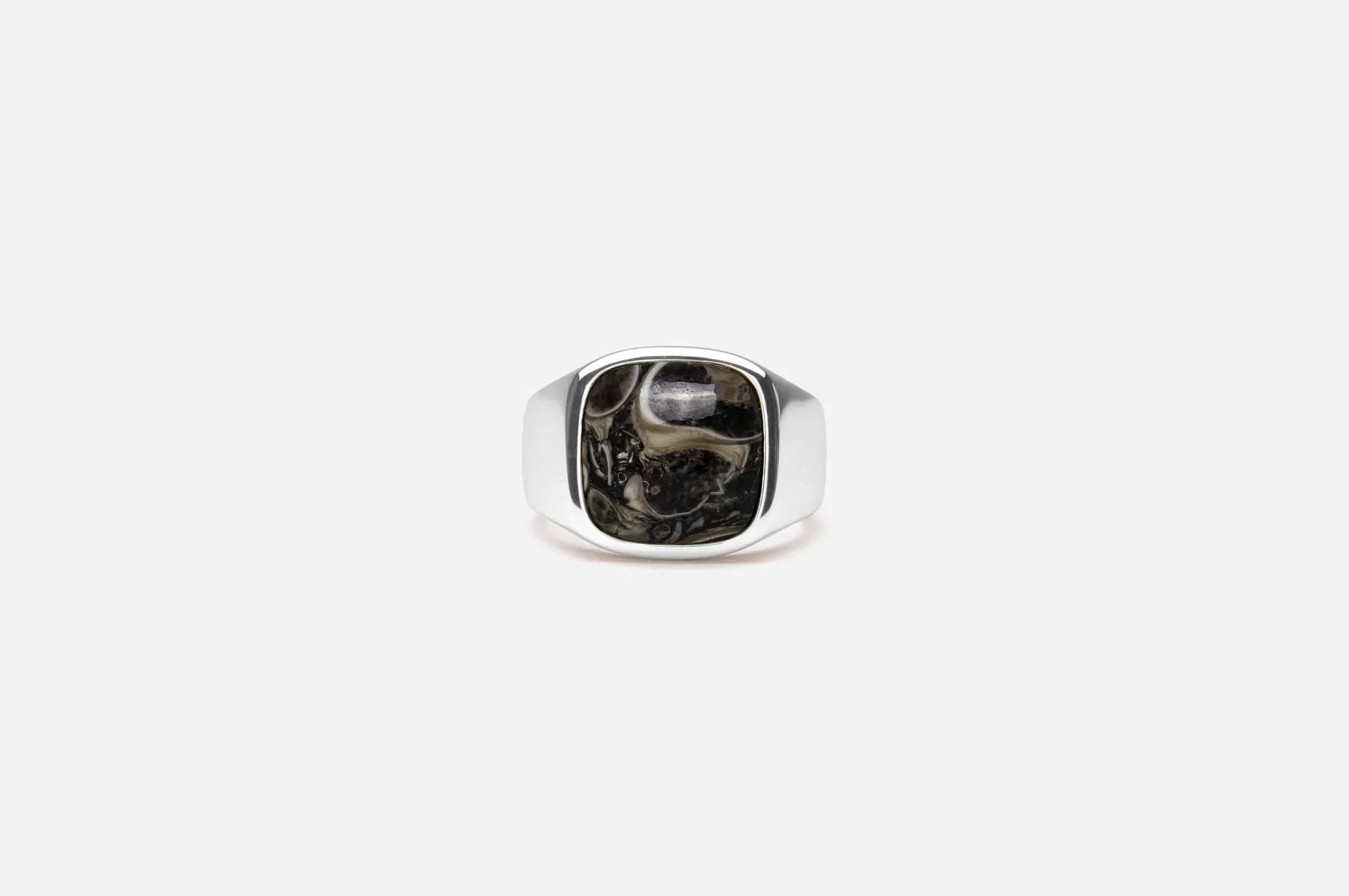 IX Cushion Turtle Agate Silver Signet Ring
