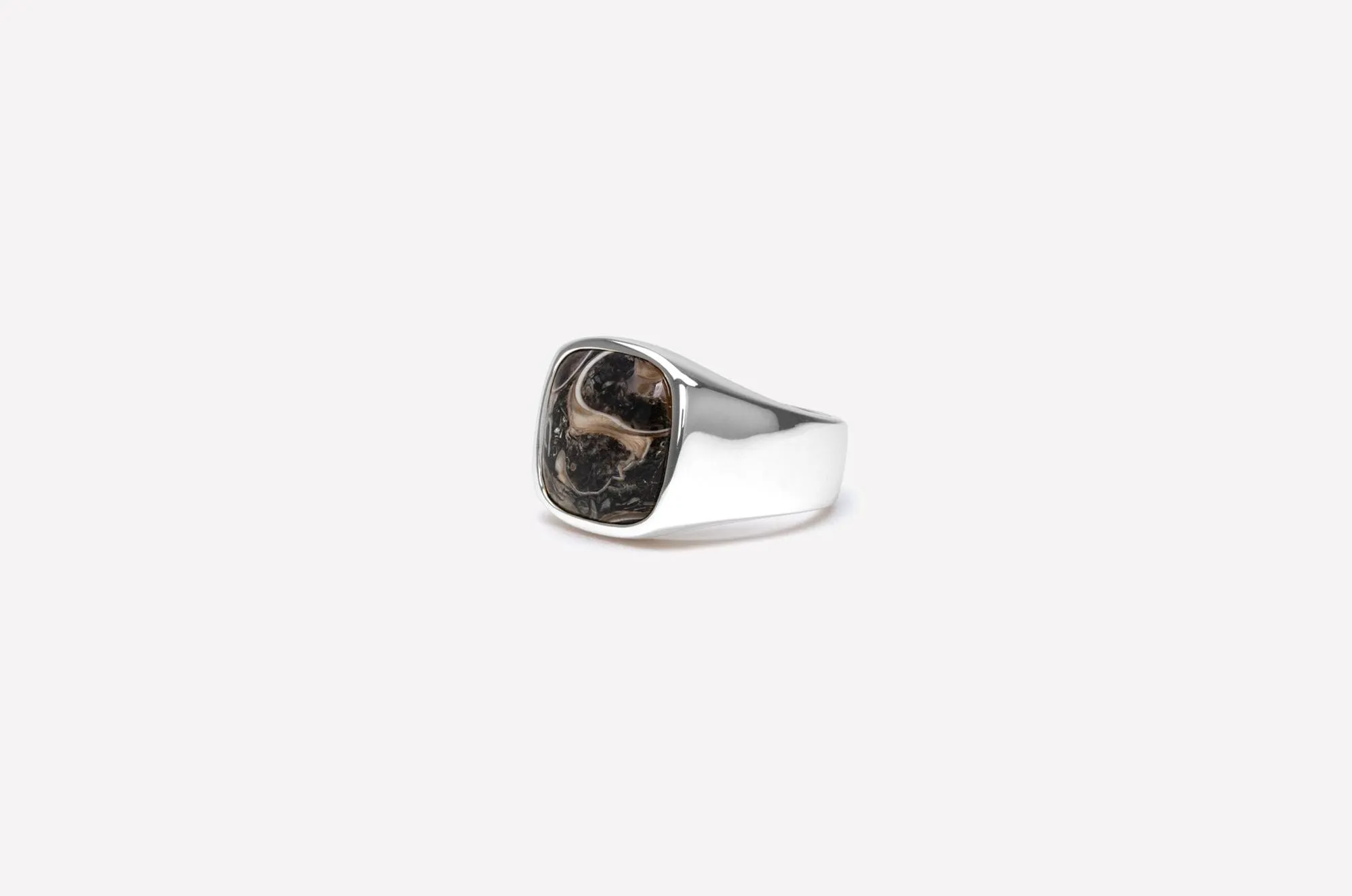 IX Cushion Turtle Agate Silver Signet Ring