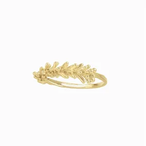 POANA Gold Plated Ring