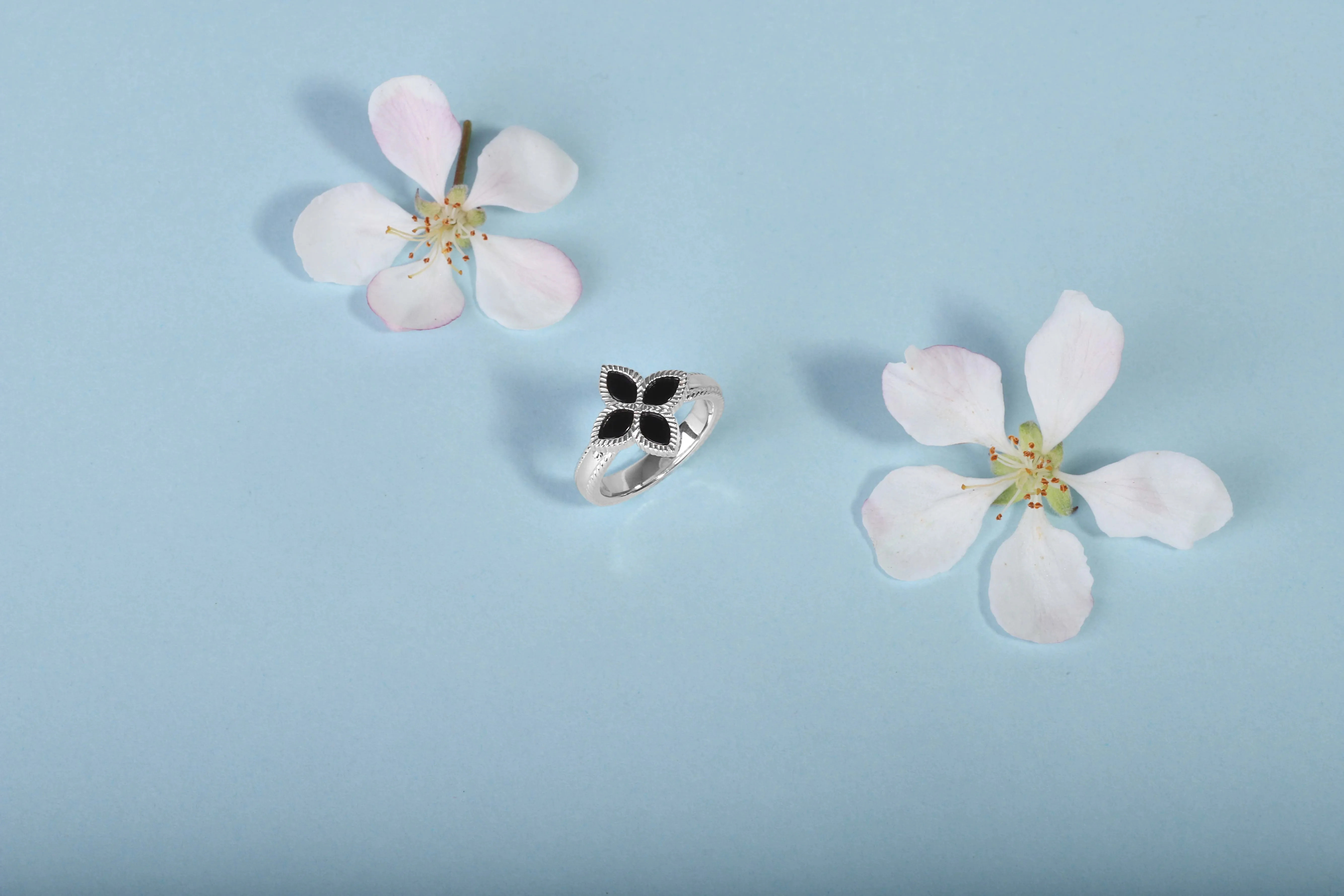 Sterling Silver Whitby Jet Eden Marquise Flower Ring